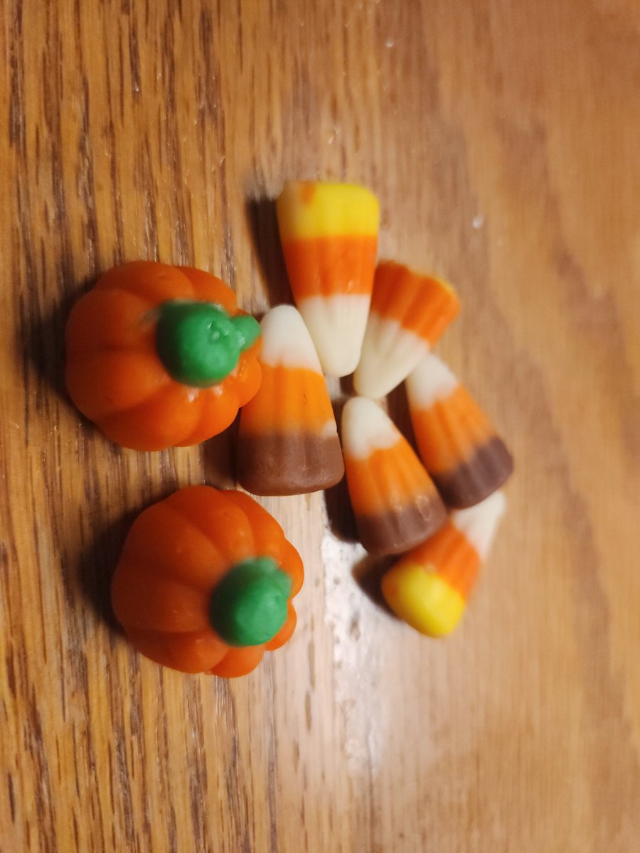 Willowbottom's tweet photo. I don't care what the haters think. 

#candycorn #fallyall #Halloween #thisishalloween https://t.co/BUYmEDlJoD