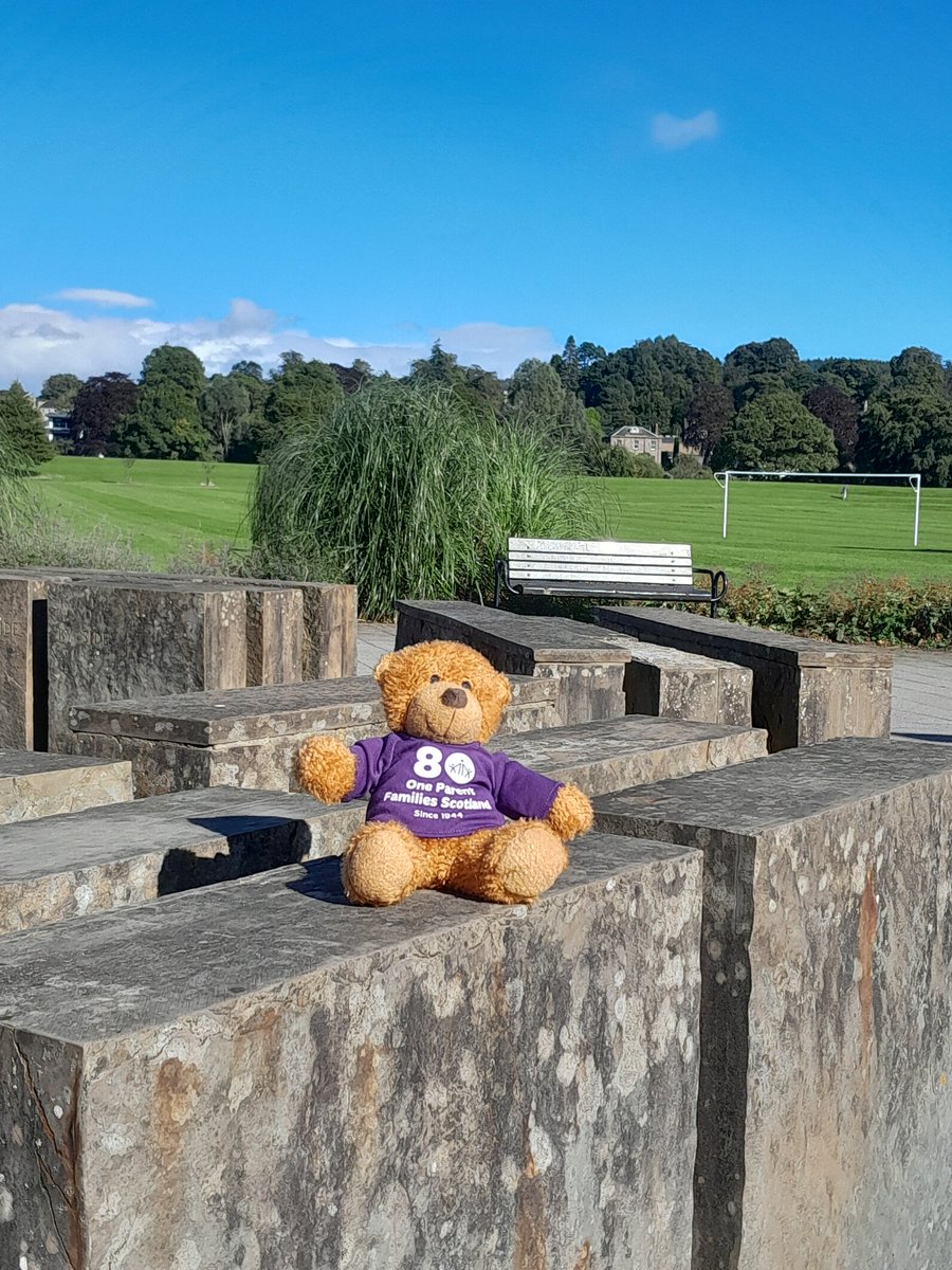 Sheelagh Scott tweet media