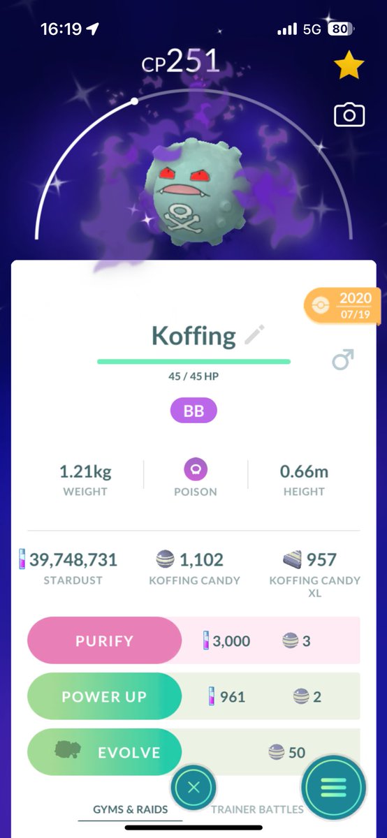 Honestly so happy I can evolve this 🥳 

#pokemongo #shadowshiny