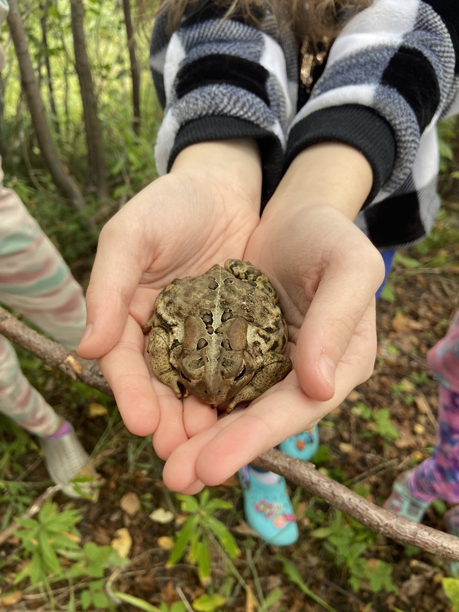 Ms__Hewitt's tweet image. Exploring and logging our findings yesterday after discussing primary sources. They had a blast #SocialStudies #Elementary #Multigrade