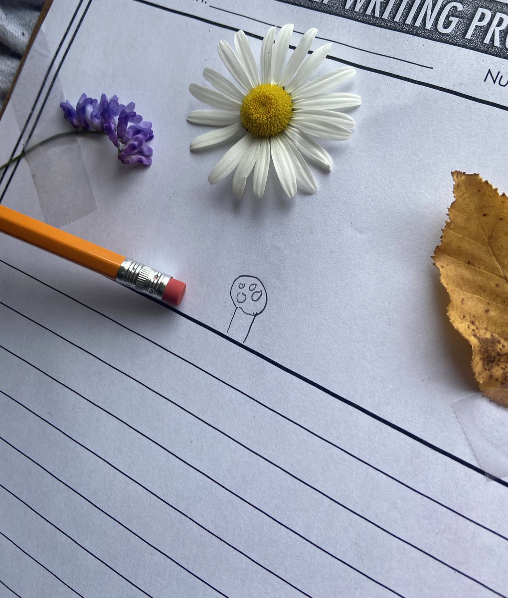 Ms__Hewitt's tweet image. Exploring and logging our findings yesterday after discussing primary sources. They had a blast #SocialStudies #Elementary #Multigrade