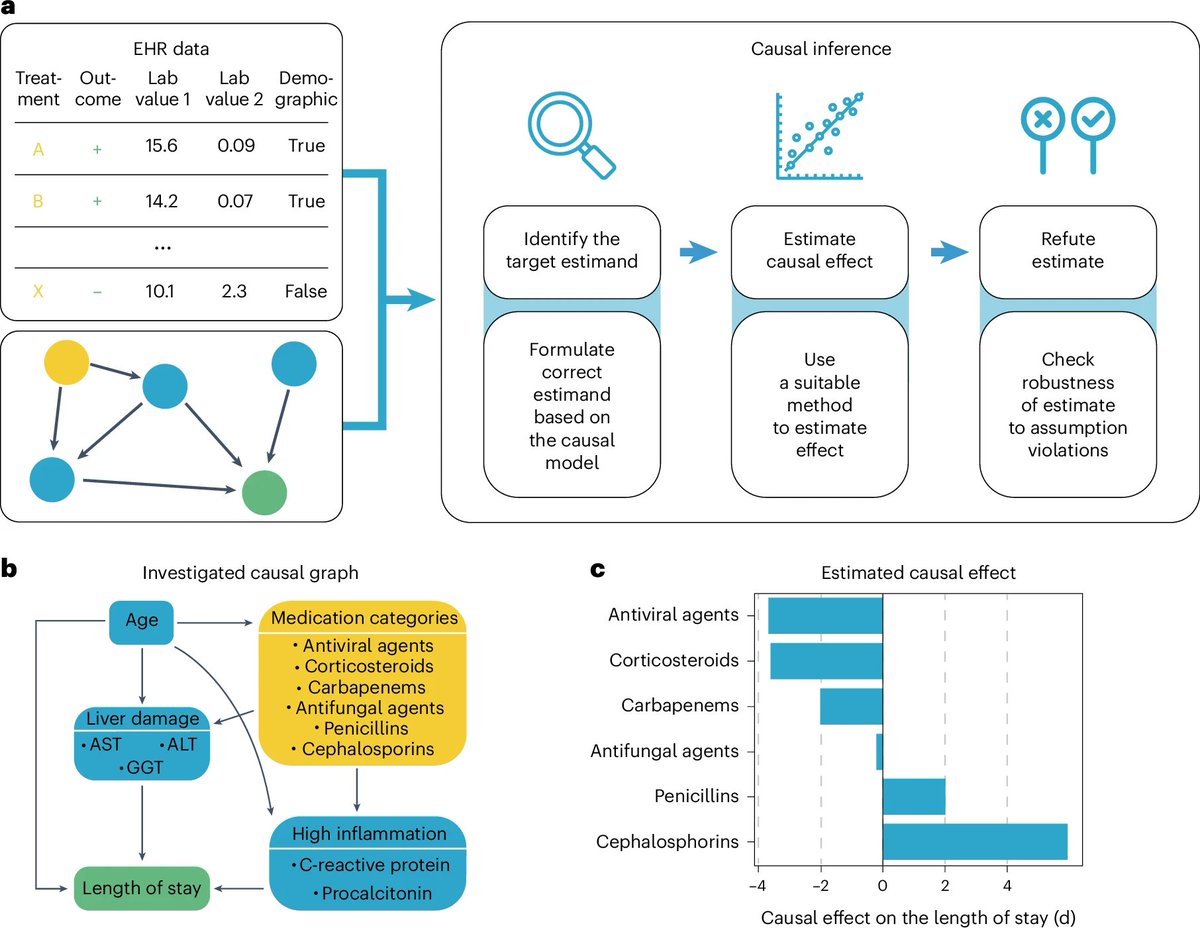 Gus Hamilton tweet media