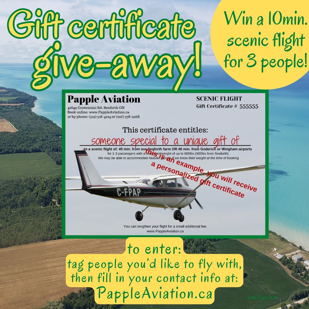 Papple Aviation tweet media