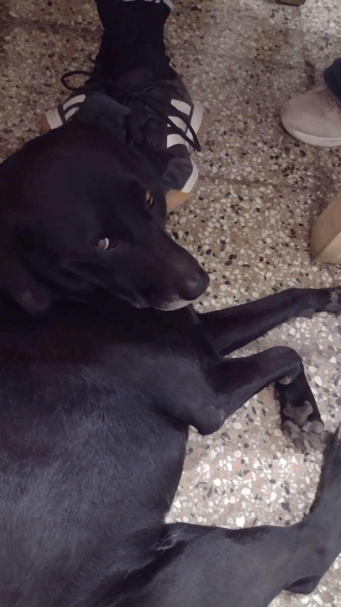 6u4d1L's tweet photo. Adivinen en quien voy a gatillar para consulta médica les dejo una pista https://t.co/T9ilO4XgU5
