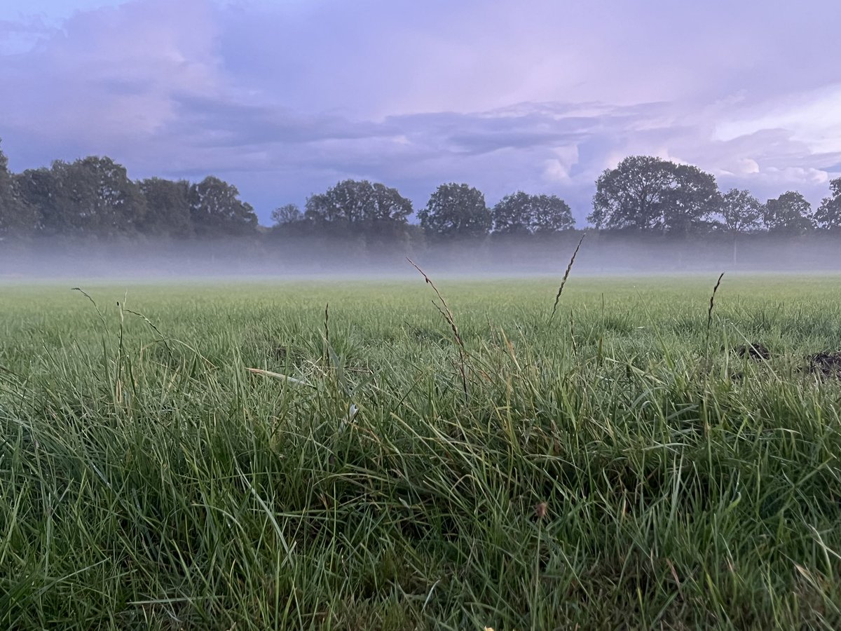 kleinkraakie's tweet photo. Beetje heiig vanavond
#mistig #heiig #platteland https://t.co/yBobfMM2II