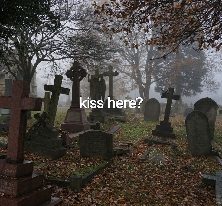 ren (@megu33i) on Twitter photo 