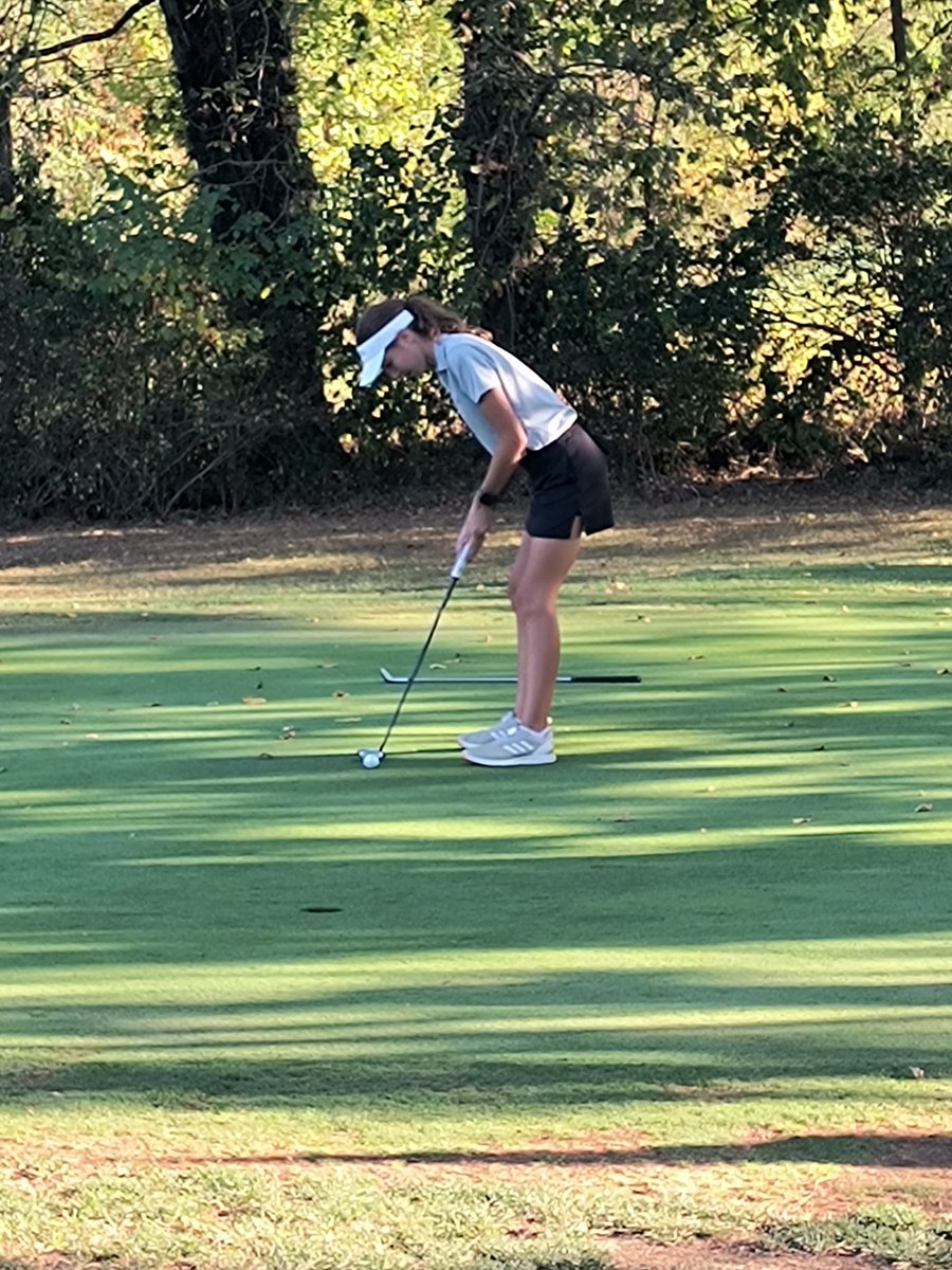 Mr. Tuttle tweet media