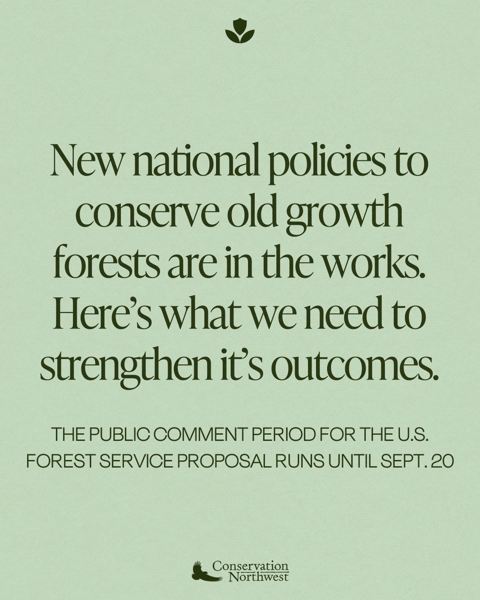 🌲 Urge the U.S. Forest Service to adopt the following recommendations to a historic federal policy proposal by submitting public comments until 9/20!

Read our article and use the sample letter provided: conservationnw.org/news-updates/u…