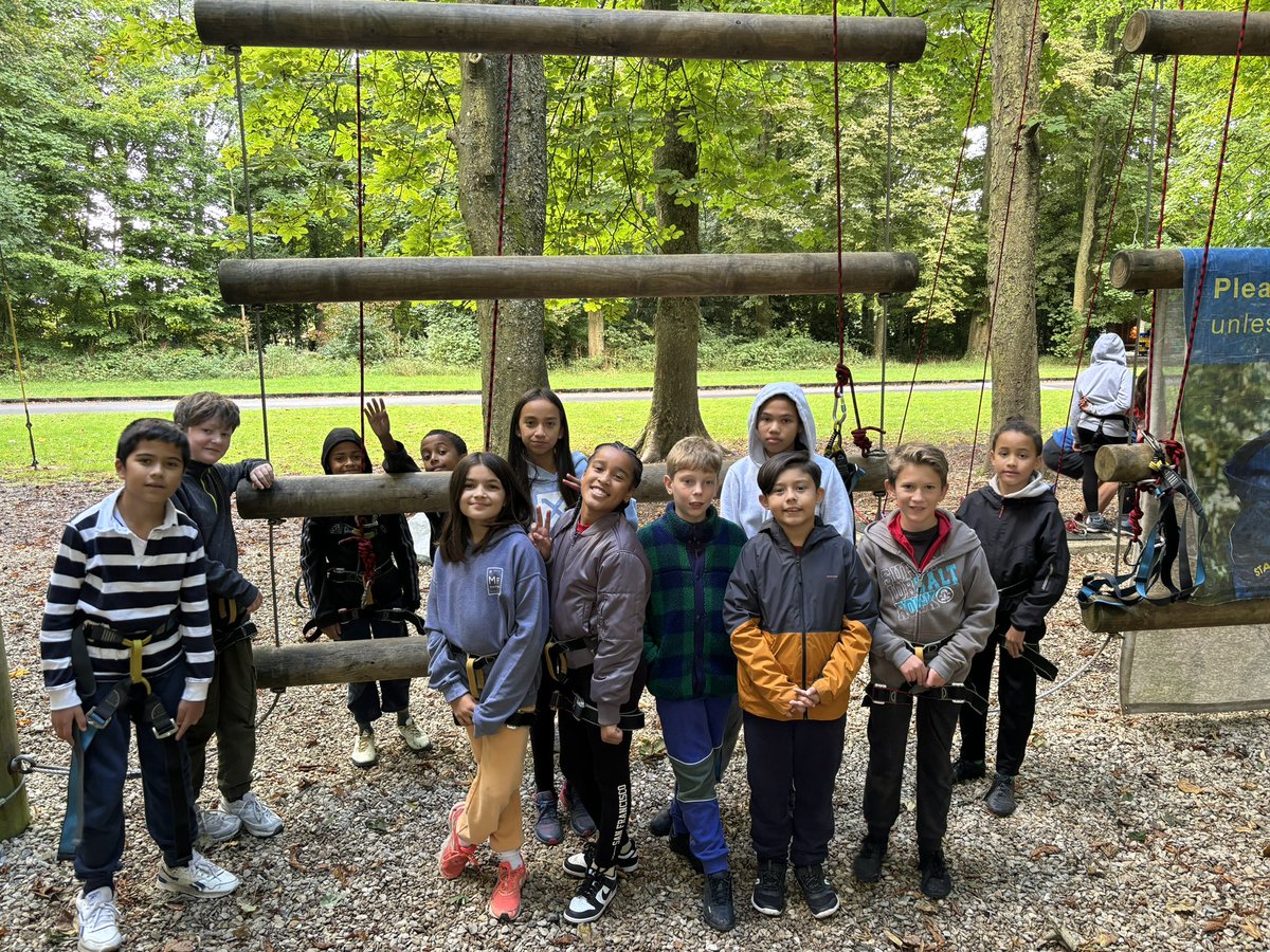 Julian's Primary tweet media