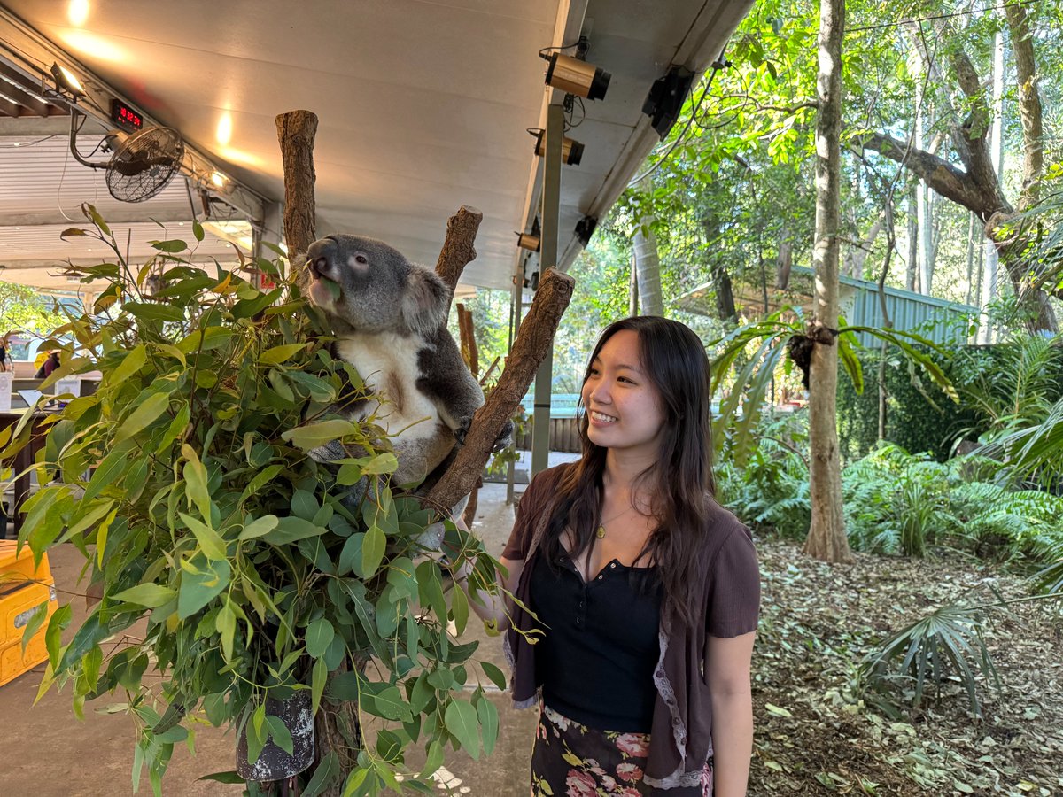 This summer, the Global Studies Internship Program sent more than 70 Stanford students to 32 cities around the world.

🐨🇦🇺Design major Emily Moeller, ’26 interned at the Art Gallery of New South Wales in Sydney, Australia. Read about her experience below.
sgs.stanford.edu/global-interns…