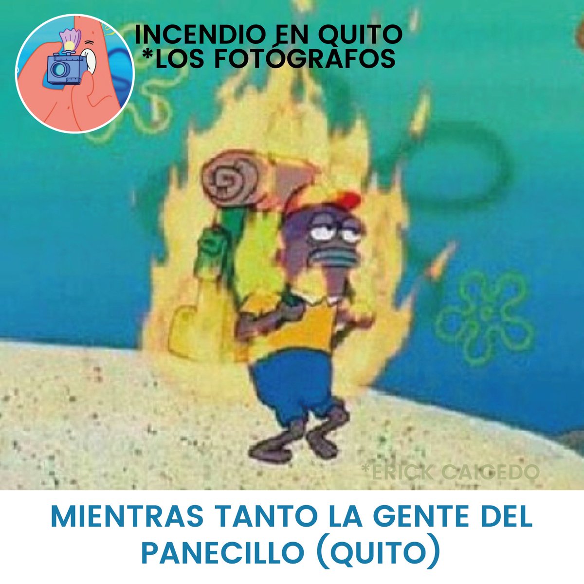 JonathanArcos19's tweet photo. Ayuden no solo sean fotógrafos #incendio #IncendioForestal #Quito #Panecillo https://t.co/A1m67l4sY9