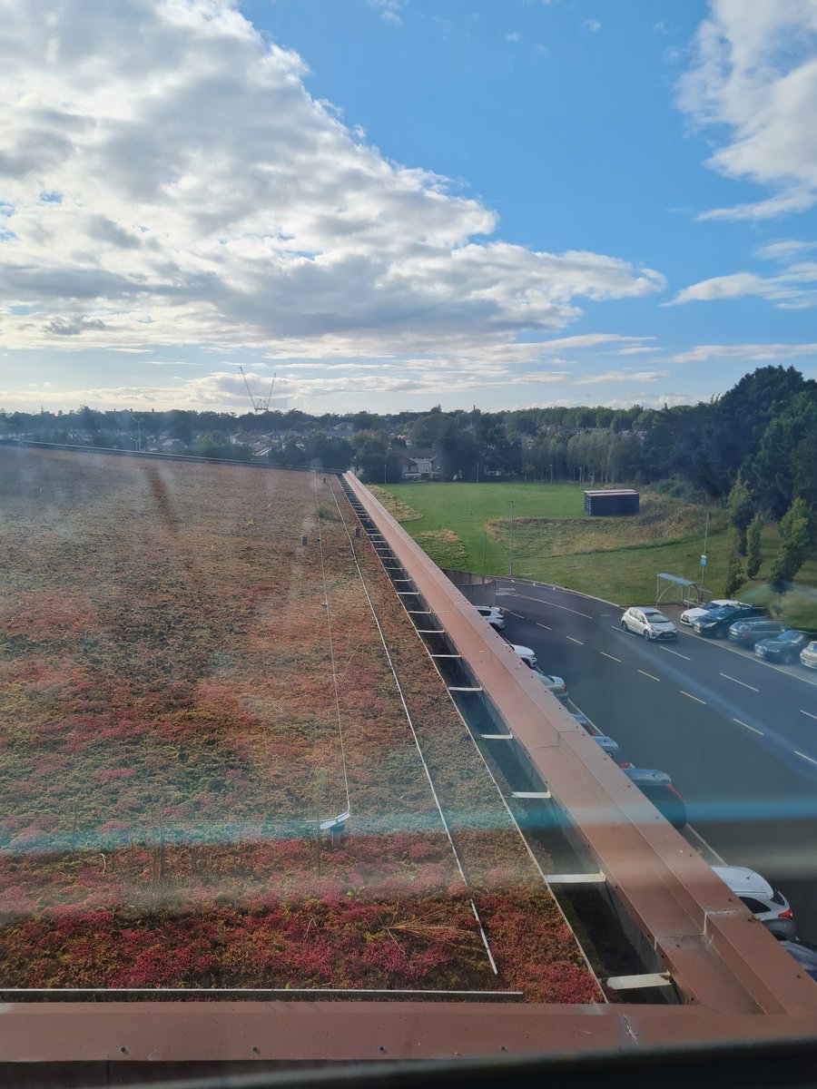 Kev Dowling tweet media