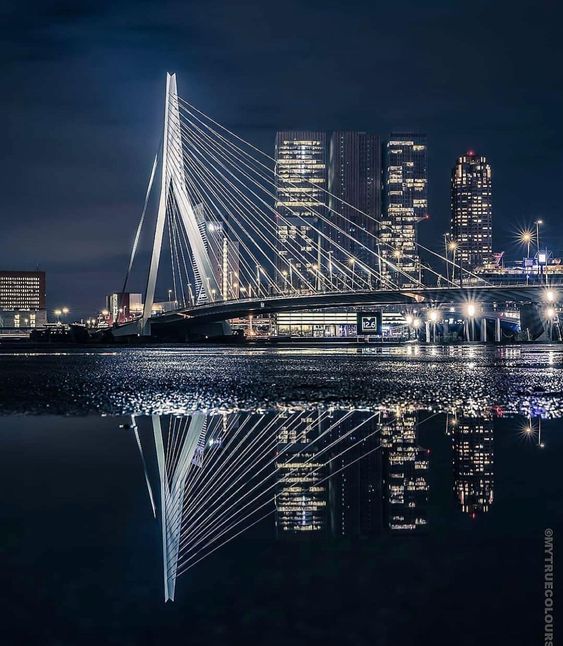 Piet_Heyn's tweet photo. #Goodnighteveryone from #Rotterdam, reflectie in de maas #Erasmusbridge. https://t.co/vBnoohbgZr