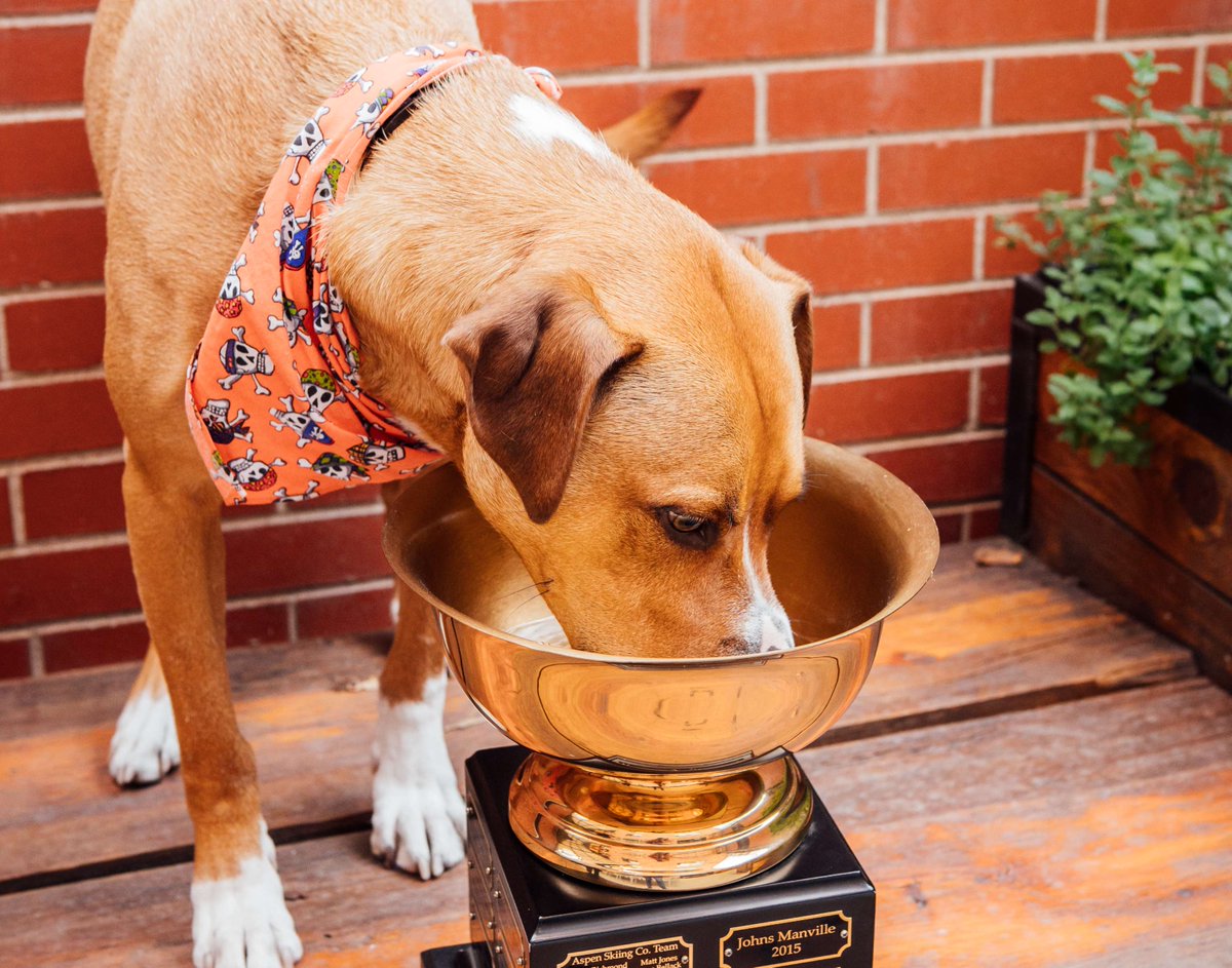 At The Alliance Center, every day is Bring Your Dog to Work Day! 🐾 Come for the mission-driven community, stay for the tail wags. 🐶✨#DogFriendlyCoworking #MansBestCoworker

Learn more about coworking at The Center: thealliancecenter.org/coworking