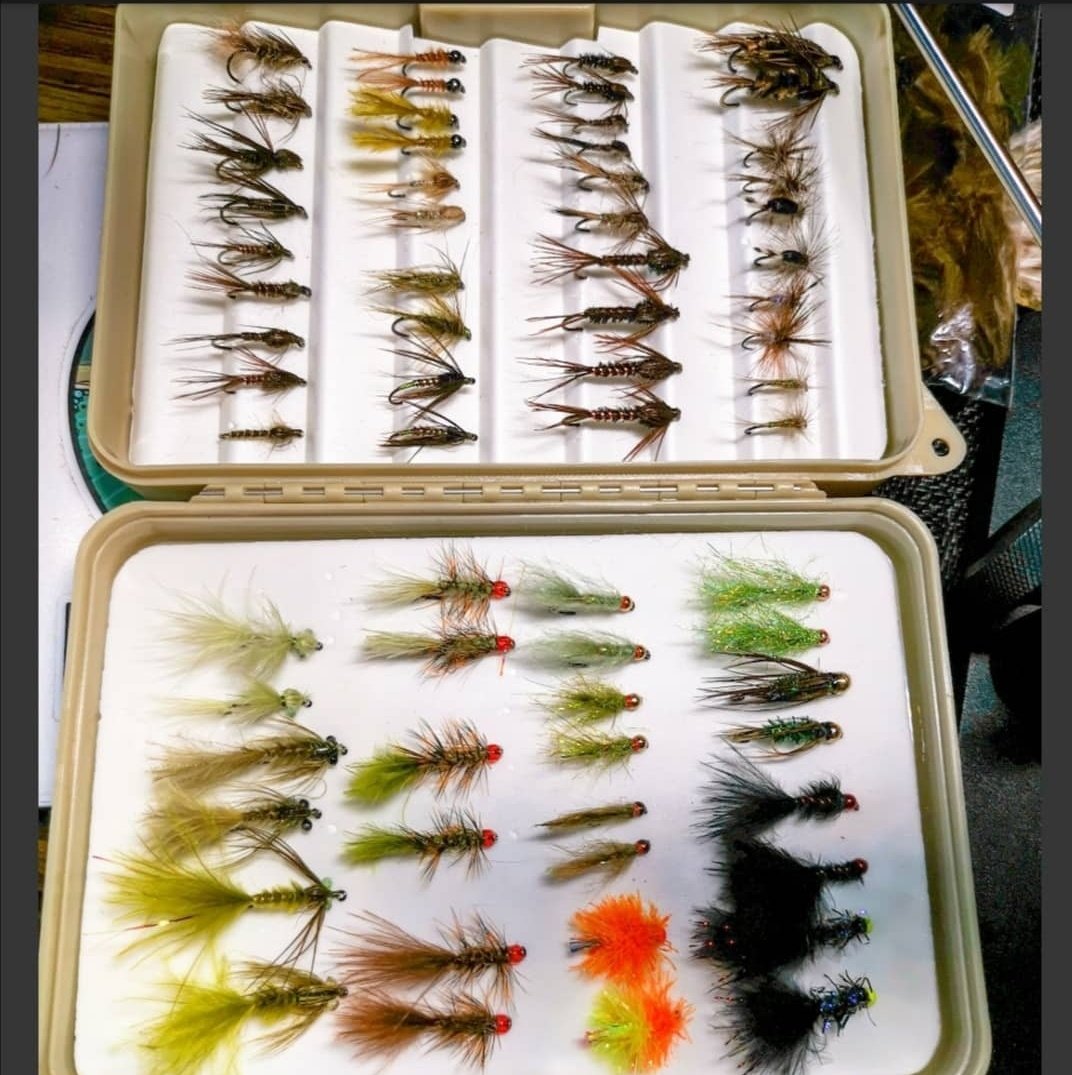 Deb Paskall tweet media