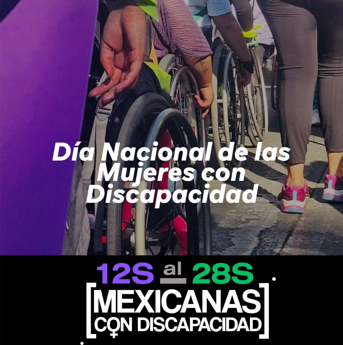 Mexicanas ♿️ Discap tweet media