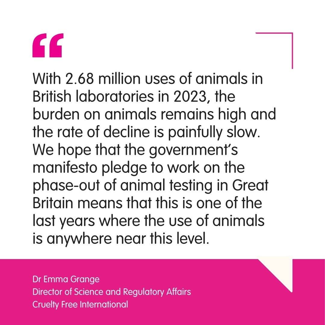 CrueltyFreeIntl's tweet image. New Home Office statistics have revealed only a 3% fall in testing numbers, with a total of 2.68 million uses of animals in laboratories in Great Britain in 2023. We are urging the UK  government to begin the phase-out of #animaltesting.

Read more: crueltyfreeinternational.org/latest-news-an…