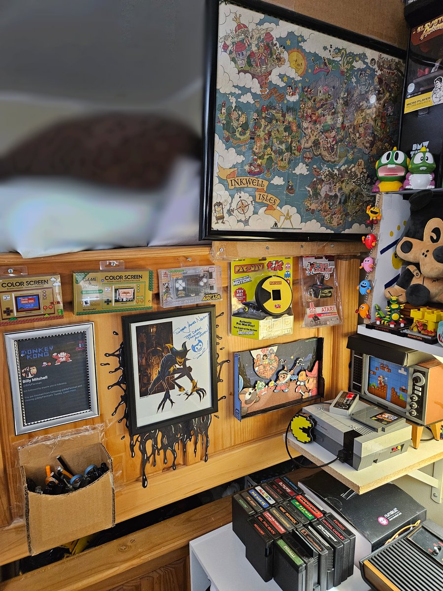 SuperJumsNelson's tweet photo. Happy #NationalVideoGamesDay!

Another year, another set of photos with my collection!

Extremely happy now with its current status, and honestly, I'm not quite sure how much more I can grow it from here. https://t.co/7eUmbe29DF