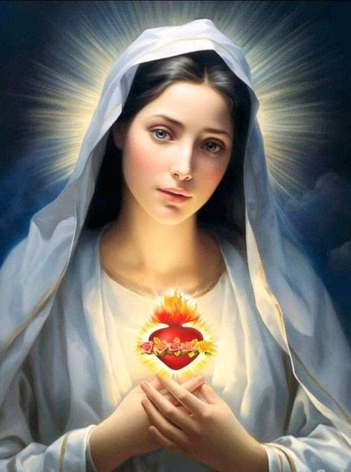 AJesusporMaria5's tweet photo. Bendita sea tu pureza y eternamente lo sea, pues todo un Dios se recrea en tan graciosa belleza. A Ti celestial princesa Virgen Sagrada María, te ofrezco en este día, alma vida y corazón. Mírame con compasión, no me dejes Madre mía hasta morir en tu amor, hermosísima María. Amén. https://t.co/VyKfVgmwde