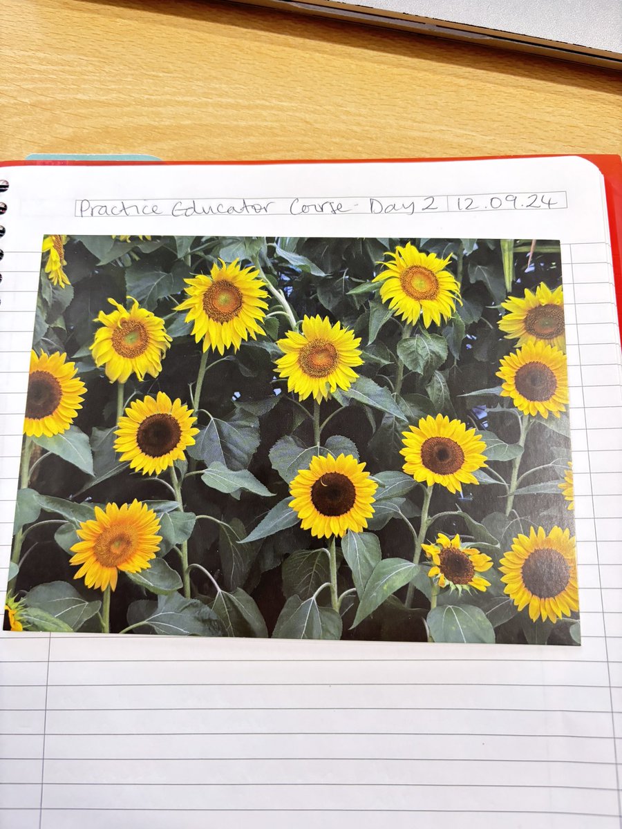 Day 2 of the Practice Educator course. Today was on Theory, Reflection &amp; Supervision, starting with a nice little exercise using reflective postcards 😁

My brain hurts, but in a good way!