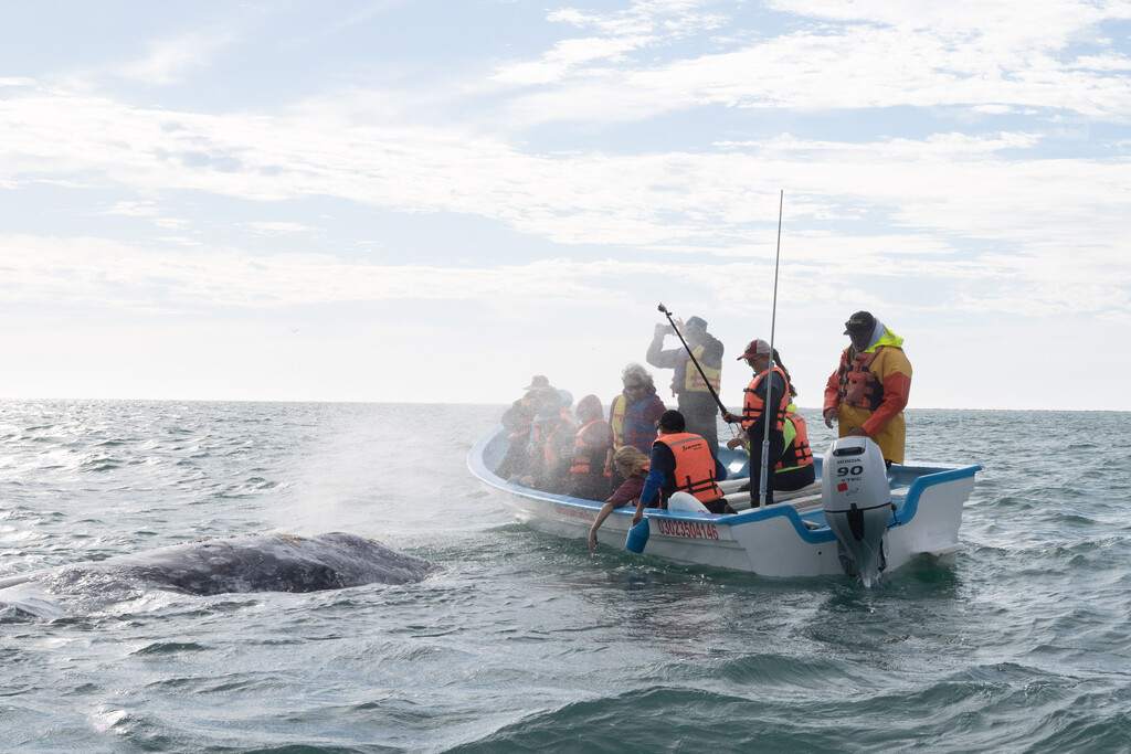 We are seeking a Graphic Designer to join the Marketing team! For job details, and application visit: 
nathab.bamboohr.com/careers/148?so…

#hiring #graphicdesign #joboppourtunity