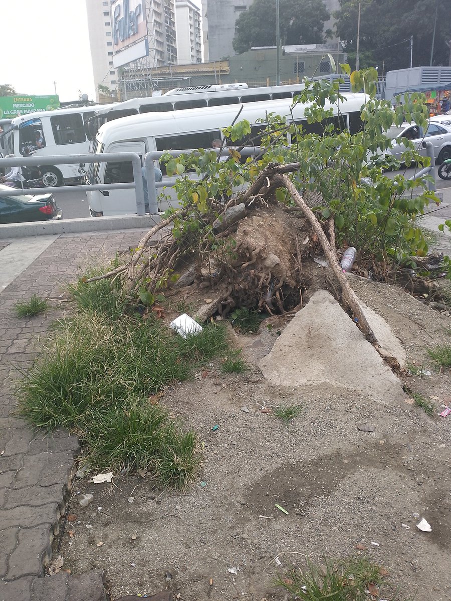 Alcaldesa <a href="/gestionperfecta/">Carmen Meléndez</a> <a href="/Nahumjfernandez/">Nahum Fernandez</a> este escenario tiene tiempo así, a quien le compete esto?, estación metro plaza Venezuela, salida hacía plaza bolivia.