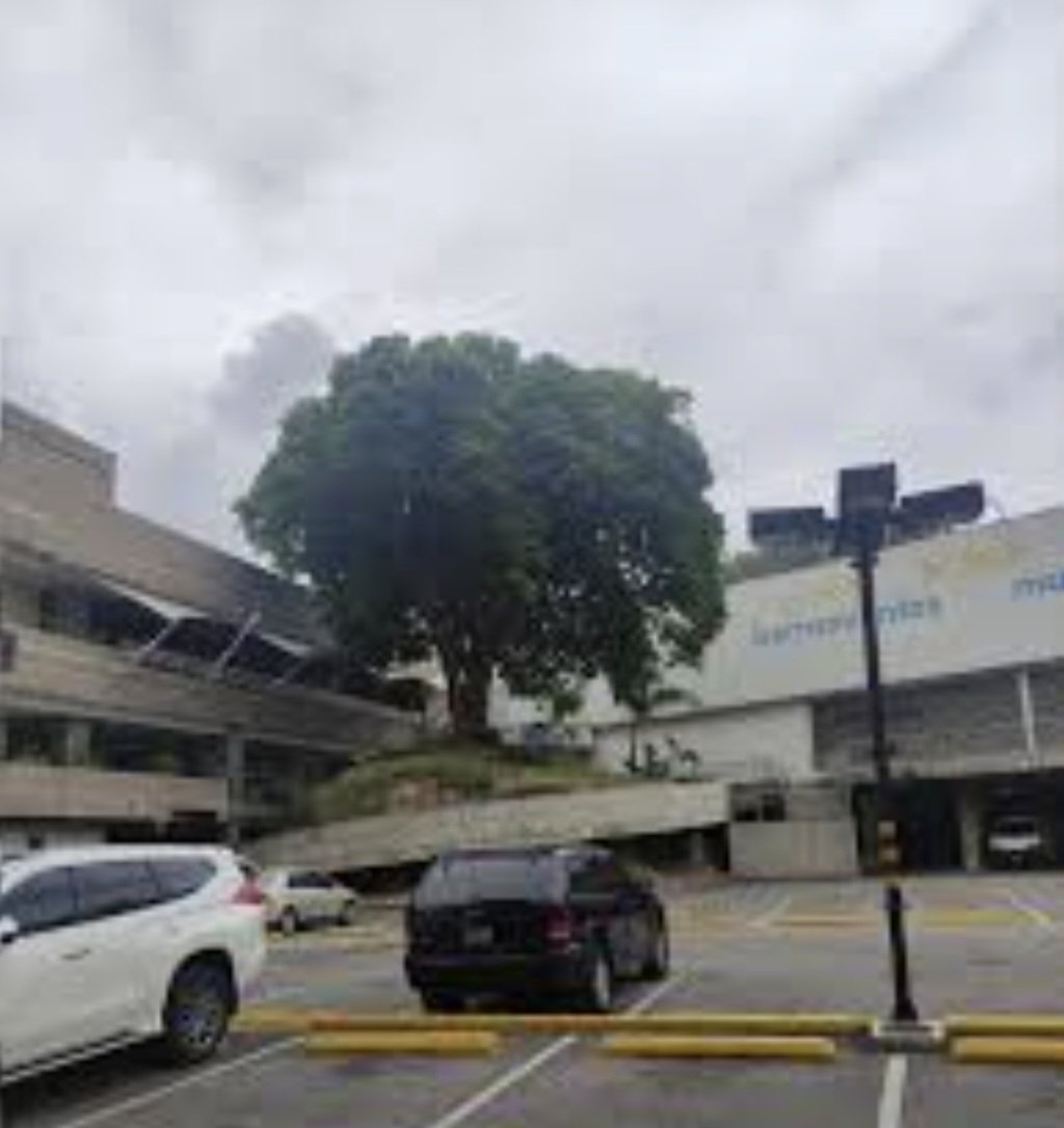 <a href="/lloverac/">lloverac</a> <a href="/ElHatillo/">Alcaldía El Hatillo</a> <a href="/Topotepuy/">Topotepuy</a> <a href="/PlantadosCCS/">Plantados Caracas</a> <a href="/avepalmas_unesc/">AvepalmasCentroUnesco</a> <a href="/BarutaEnMov/">Baruta En Movimiento</a> Se usa la inteligencia, para construir en armonía con la naturaleza, no destruyendo a su paso. Para muestra de un buen arquitecto e ingeniero, EPA expreso Baruta.