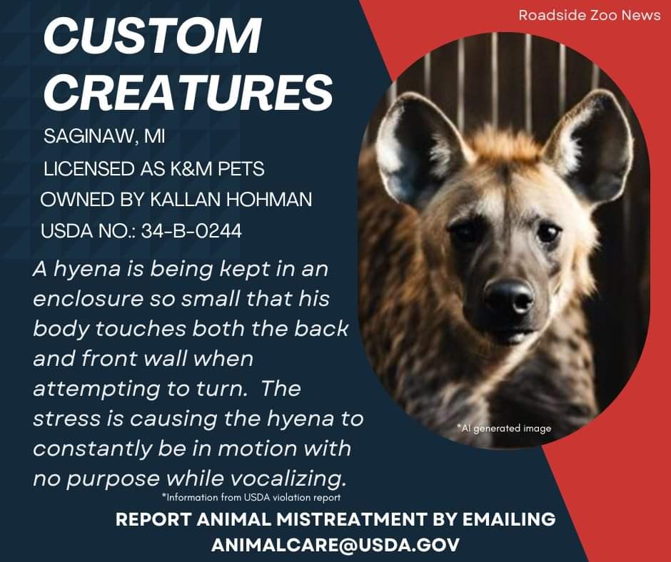Imagine being confined indefinitely in a space that is 42 inches long, 26.5 inches wide and 31 inches tall. You’d probably go crazy, right? That’s what’s happening to a hyena at Custom Creatures Pet Store in Saginaw, Michigan. <a href="/BLlovesdolphins/">Barbara Lovett</a>
<a href="/peta/">PETA</a>
<a href="/ALDF/">ALDF</a> <a href="/cd3k_/">cd3k</a> @For_Dumbo <a href="/ChzAz/">Rite chz angr Az</a>
