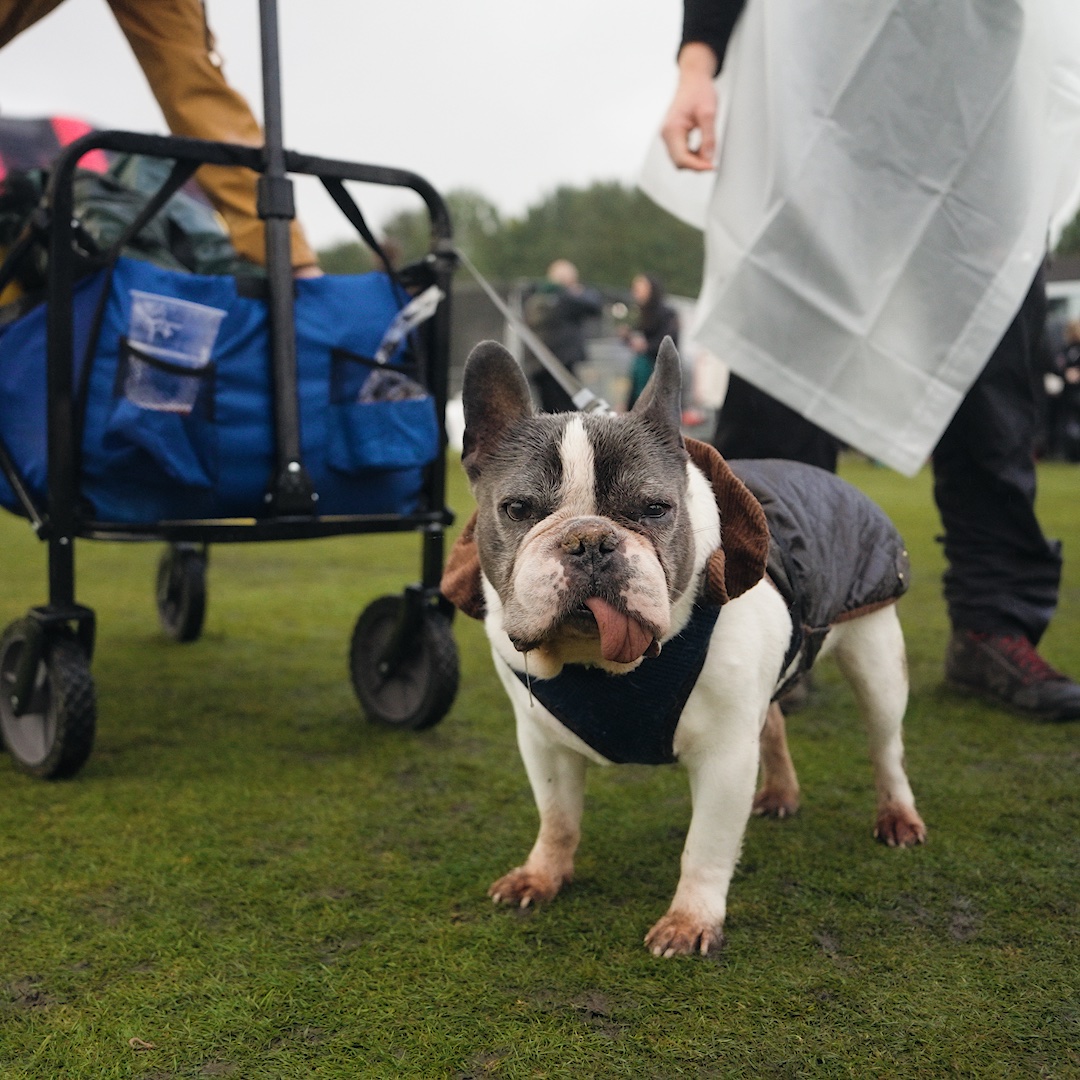 Bolton Video Co. tweet media