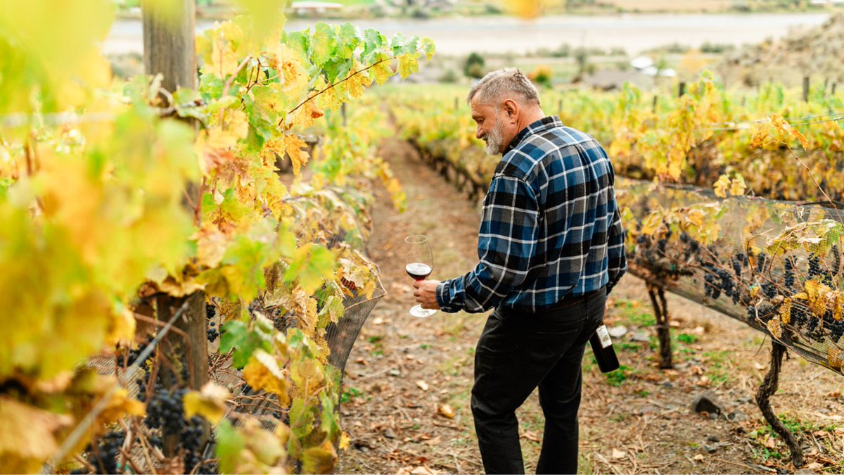 Wines of British Columbia (BC VQA) (@bcwine) on Twitter photo We're excited to welcome our new winery member <a href="/sagewood_winery/">Sagewood Winery</a> part of the <a href="/KamWineTrail/">Kamloops Wine Trail</a>. This family-run winery is redefining the art of winemaking from their home-based winery. Home to the oldest commercial vineyard in the Kamloops area, the winery’s roots run deep. We're excited to welcome our new winery member <a href="/sagewood_winery/">Sagewood Winery</a> part of the <a href="/KamWineTrail/">Kamloops Wine Trail</a>. This family-run winery is redefining the art of winemaking from their home-based winery. Home to the oldest commercial vineyard in the Kamloops area, the winery’s roots run deep.
