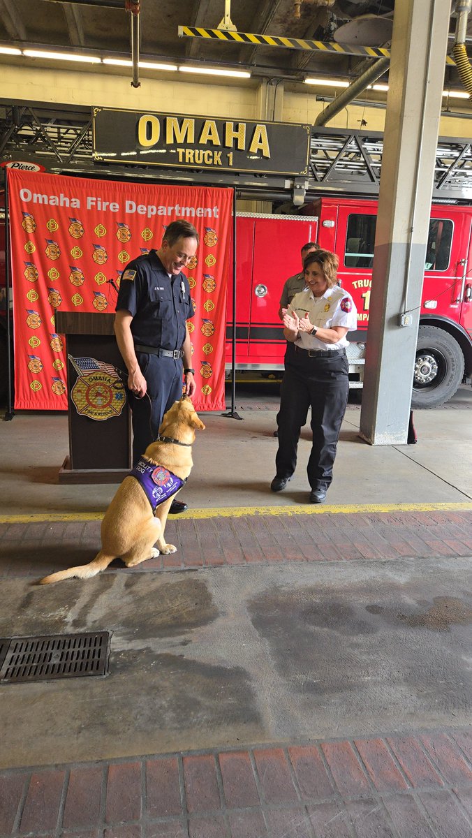 Exciting day! 🐾 Today we introduced Mochi, OFD’s first Facility Support Dog! I’m proud to be Mochi’s handler, and we’re ready to provide comfort and support to our firefighters and community. Stay tuned for updates on our journey! - FF Josh Fry &amp; Mochi

#OFDMochi #OmahaFireDept