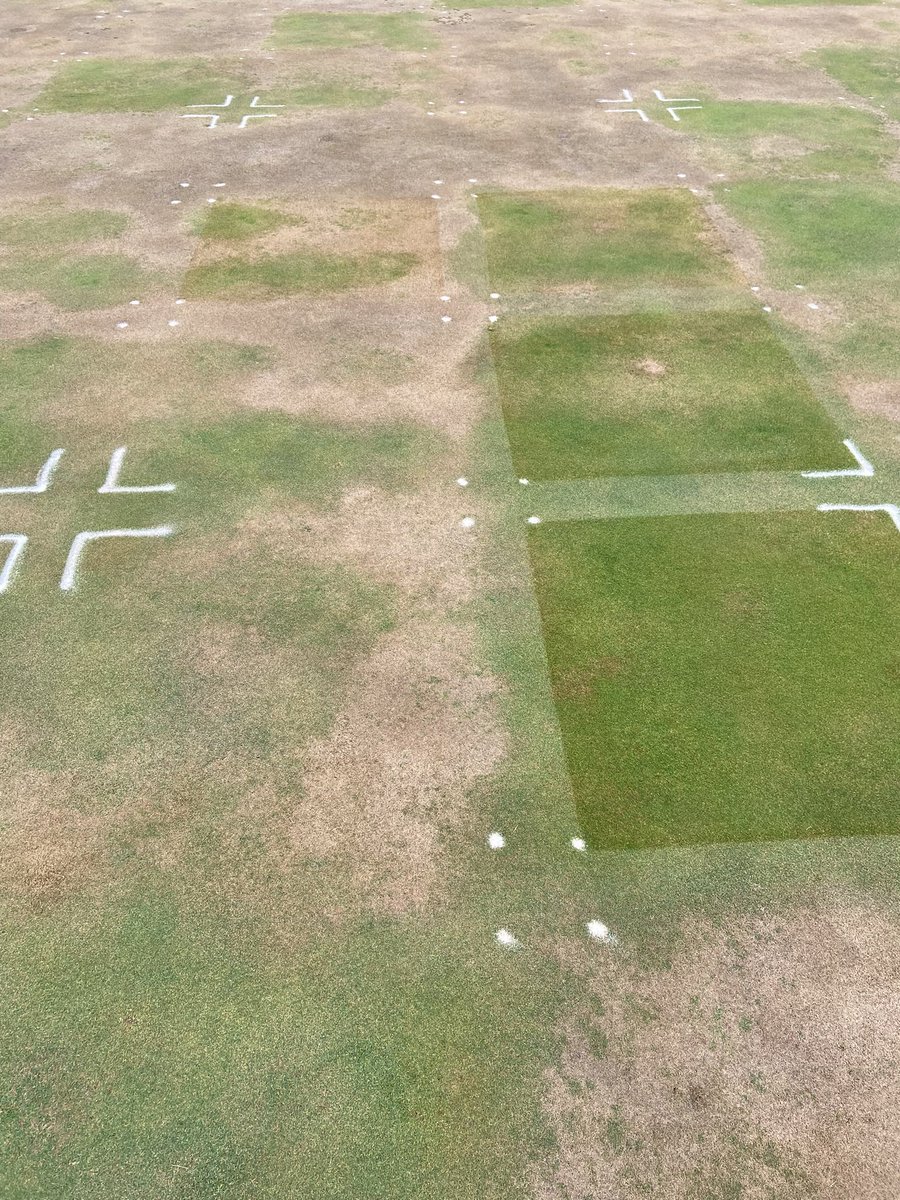 Mike Richardson (@arkansasturf) on Twitter photo Last app of the season to @gcsaa wetting agent trial, studying products, rates, and timing. Plots are looking great and team is still putting down some clean plots!! <a href="/NTGCSA/">North Texas GCSA</a> <a href="/MVGCSA1/">MVGCSA</a> <a href="/GolfSupersofAR/">GCSA of Arkansas</a> <a href="/3sticksCGCS/">Mel Waldron III</a> Last app of the season to @gcsaa wetting agent trial, studying products, rates, and timing. Plots are looking great and team is still putting down some clean plots!! <a href="/NTGCSA/">North Texas GCSA</a> <a href="/MVGCSA1/">MVGCSA</a> <a href="/GolfSupersofAR/">GCSA of Arkansas</a> <a href="/3sticksCGCS/">Mel Waldron III</a>