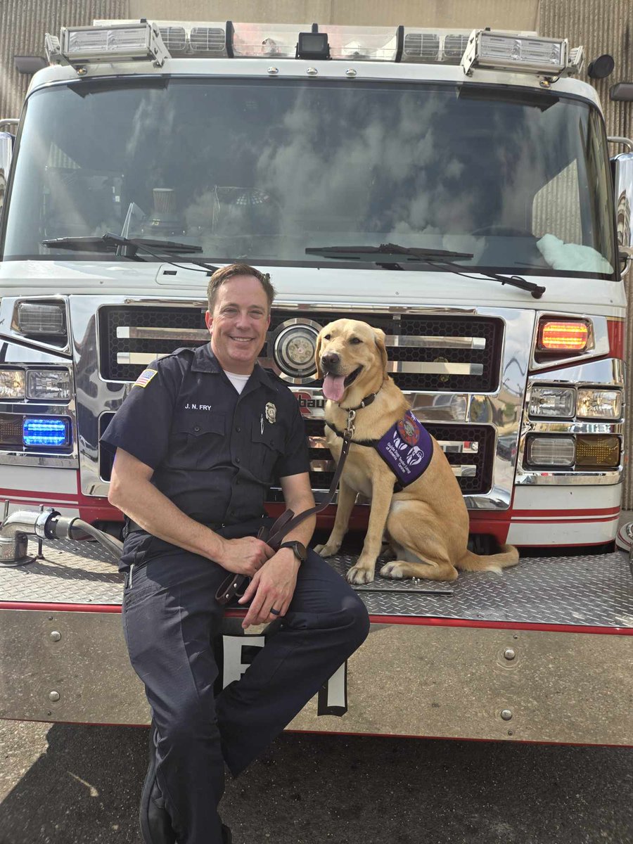 OFDMochi tweet media