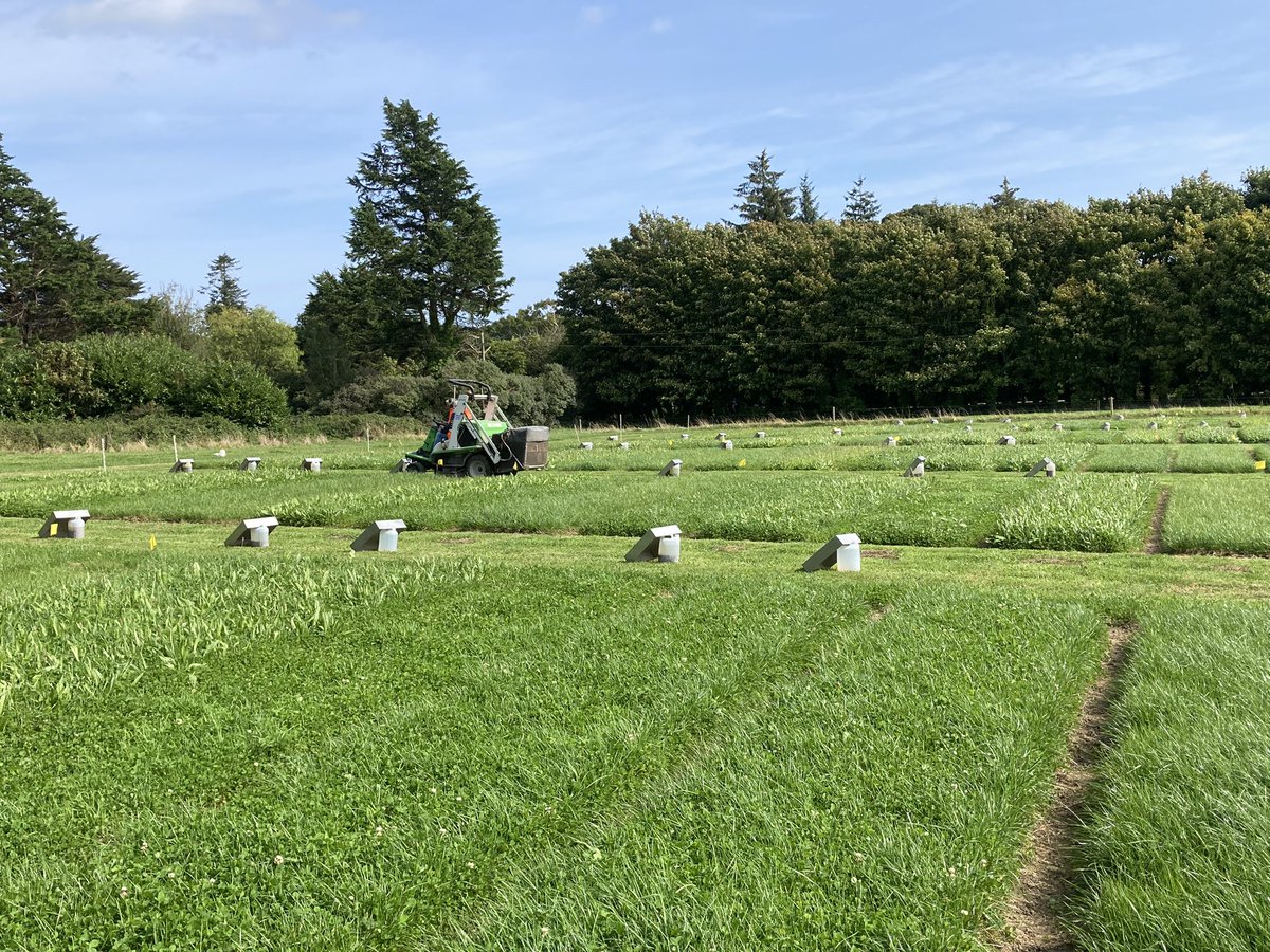 John Finn tweet media