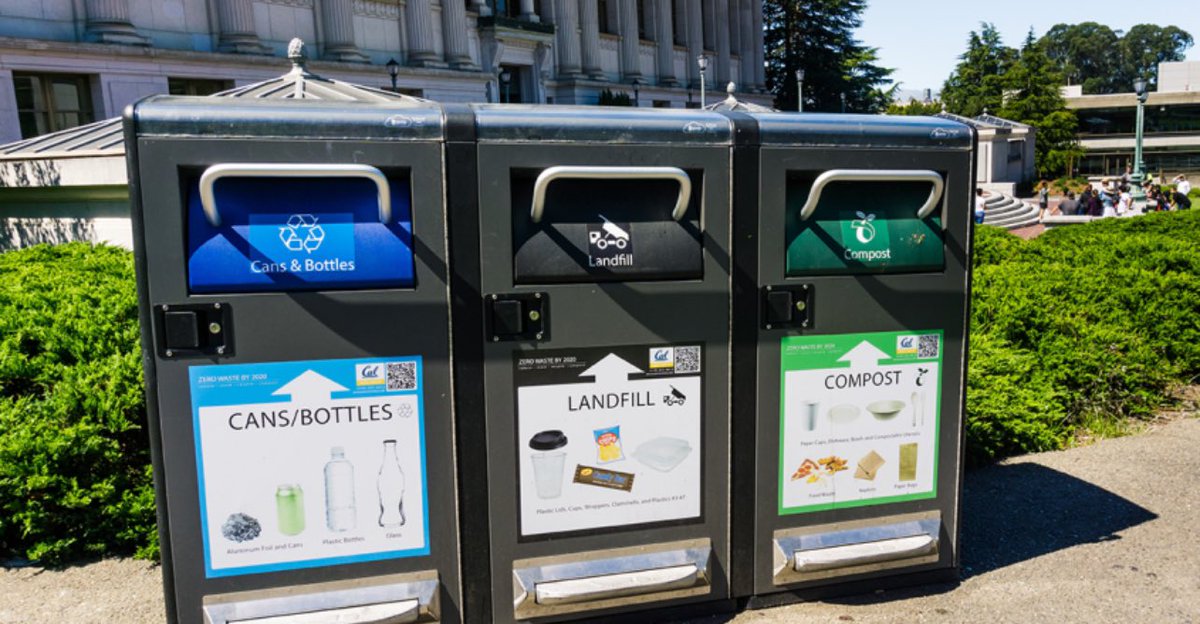 🌿Climate Action NOW—Biodiversity🌺🦋🐝🐞 tweet media