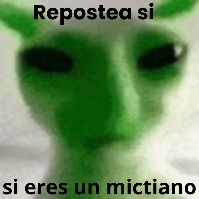 Mictia00's tweet photo. https://t.co/8qwKowLqYO
