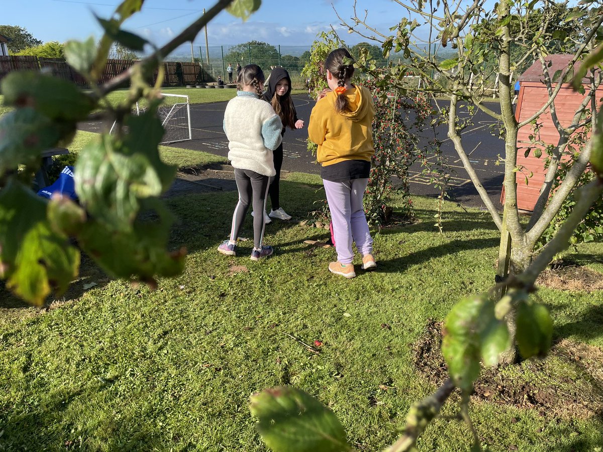 CPSBALLYMONEY's tweet image. Year 6/7 creating animations today as part of our outdoor learning scheme. Pupils used imotion to create their movies.