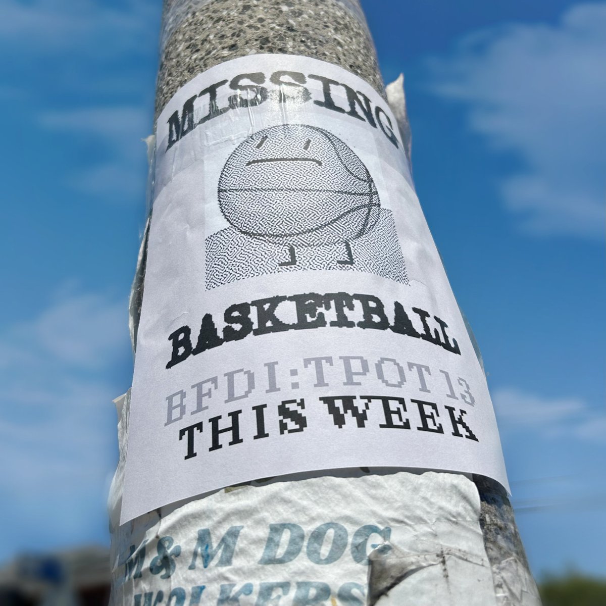 jacknjellify's tweet image. We don&apos;t know where she is! Do you?