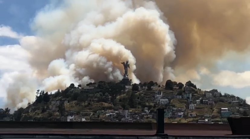 Terrible el #incendioforestal que afectó el sector de #ElPanecillo, en el centro de #Quito. 
Cuánto daño a la fauna y flora del área.😞