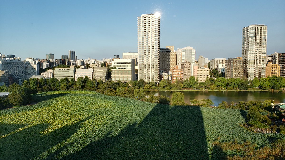 Davecko's tweet image. First day in Japan was amazing! A lil jet lagged arriving later in the afternoon, but a ton of things to see around our hotel &amp;lt;3