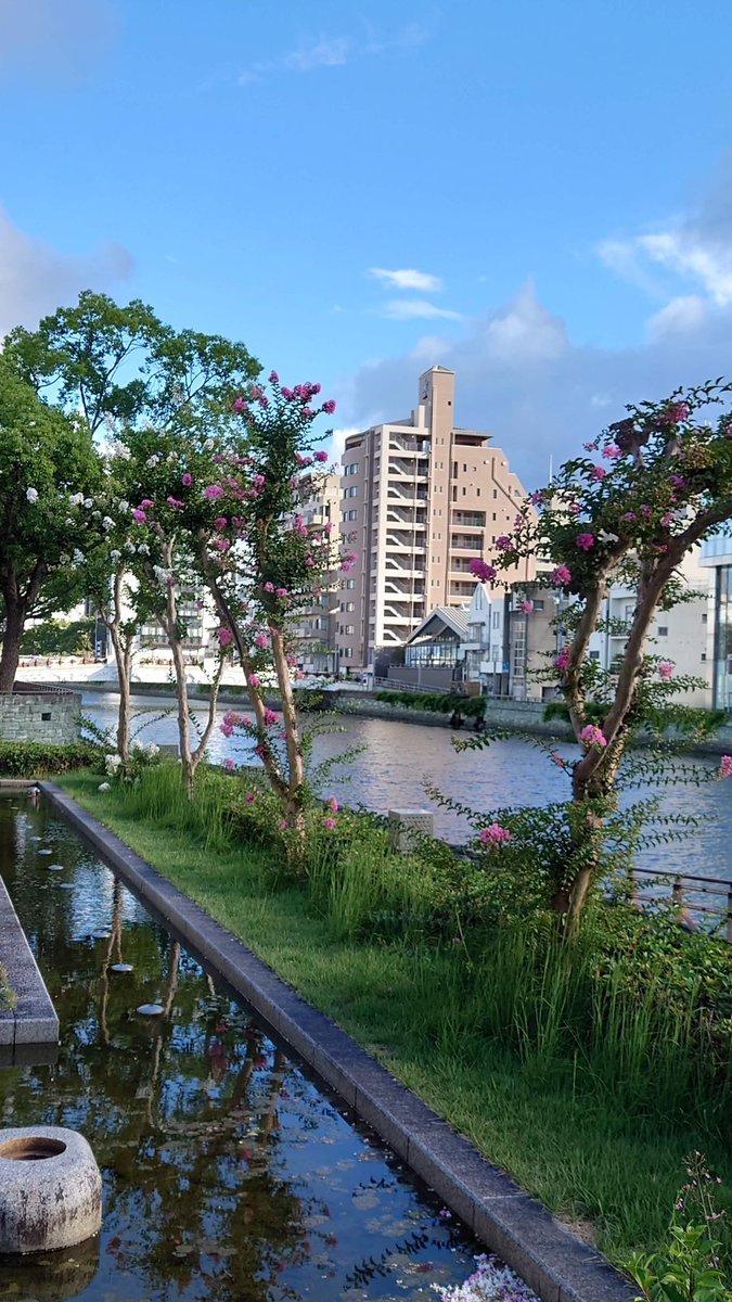 01414Mikan's tweet photo. 2024年9月10日(火）5月以来の徳島～サルスベリのピンクの花が🌺またなんとも言えない感じでいいね！
奥に見える橋は夜になるとイルミネーションになるよ～ https://t.co/z7Z2SgKZBx