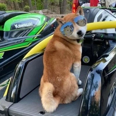 Dogecoin420's tweet photo. @Dogemilehigh @TOPDOGE007 @Athletics I turned a "little bit" more than $40 into a 21,869.3489763 $Doge ($10k) jetski without ever SELLING a single #Dogecoin. https://t.co/wBpIY88k3S
