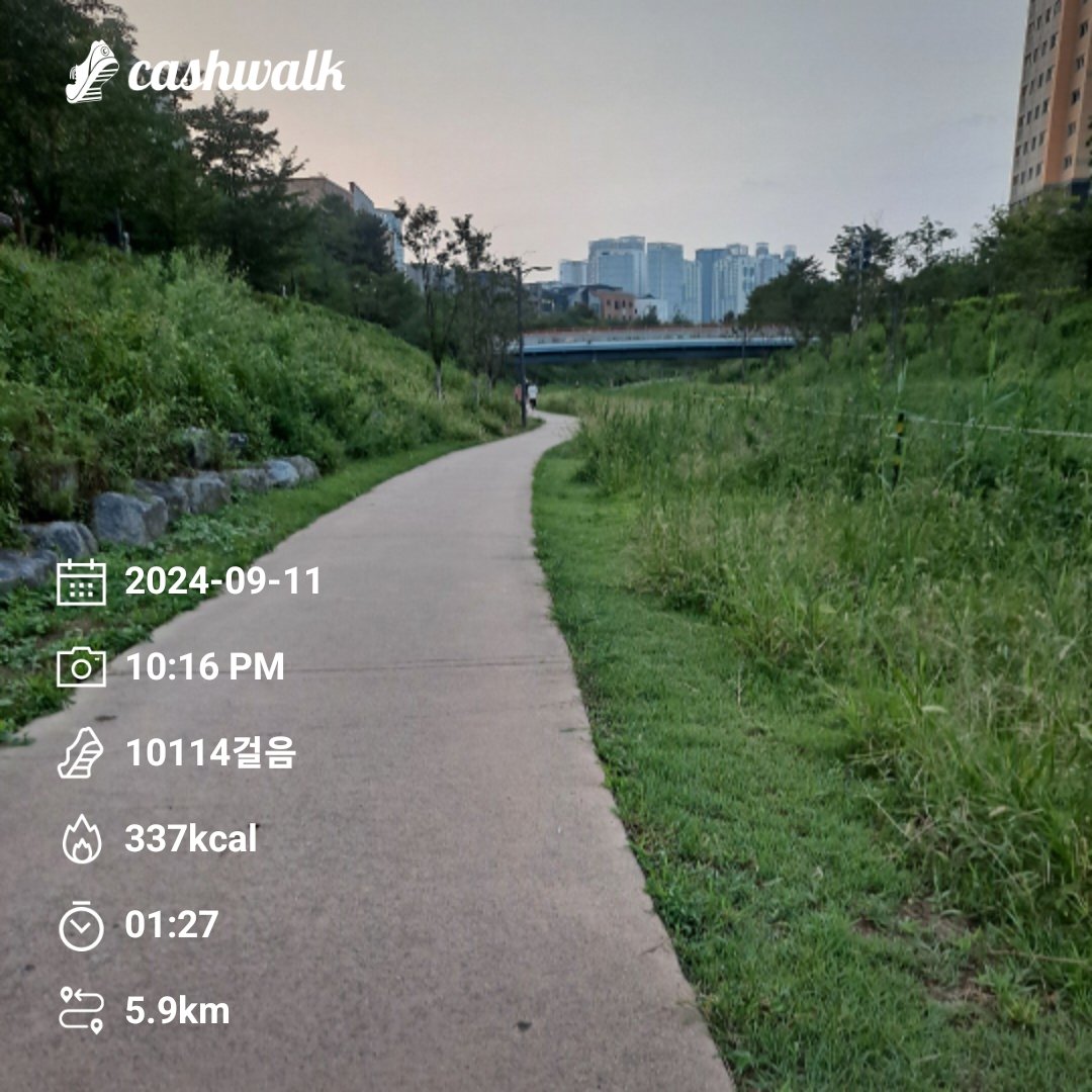 seethrough1b's tweet image. #bugcity
#bugpoly
#gm
@Bug4city
2024년  10,000보