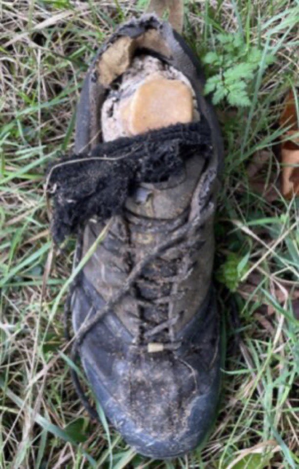 🇫🇷🦶FLASH | Un promeneur a trouvé deux pieds coupés à la scie, encore dans des chaussures de randonnée Decathlon Quechua de pointure 43, au bord de la Seine dans les Yvelines. Le reste du cadavre n'a pas été retrouvé. (📷 <a href="/jbaptistemarty/">Jean-Baptiste Marty</a>)