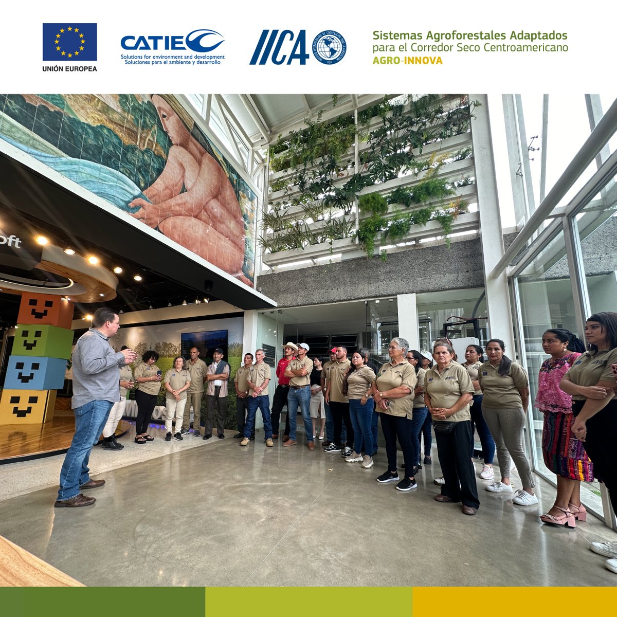 IICA_Costa_Rica's tweet photo. El Encuentro Regional de Productores y Productoras Líderes del Proyecto de Sistemas Agroforestales Adaptados al Corredor Seco Centroamericano, #AGROINNOVA implementado por el IICA, permite a los participantes intercambiar experiencias que transforman sus fincas y comunidades. https://t.co/e0yaqQFdMA