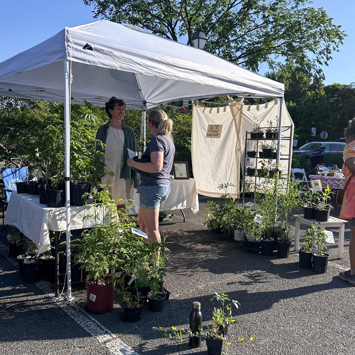 Lewis Ginter Botanical Garden tweet media