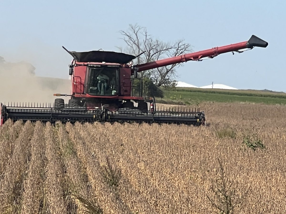 P25A16E being harvested in Fountain Creek!