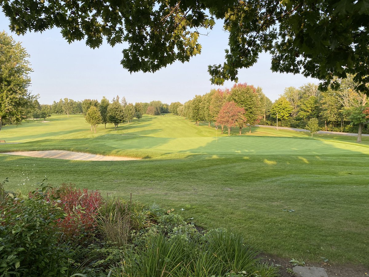 Joe McLean 🇨🇦 tweet media