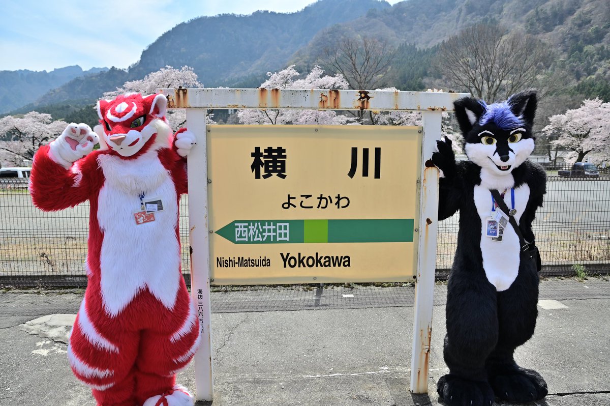 横にはおっきな川があった
#燈を灯しに #fursuitfriday #鉄道獣化むら