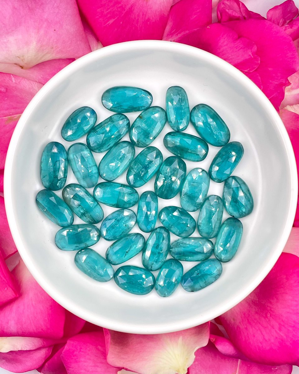luciditygems's tweet photo. PARAIBA TEAL KYANITE 🦚 Gorgeous brightly colored kyanite in nice large sizes 🌊 This is one of our favorite kyanite shades!  Just a few sets left of these!

#kyanitejewelry #oceanjewelry #tropicaljewelry #metalsmith #metalsmithing #silversmith https://t.co/FQYLQotQiC